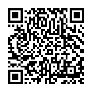 就算没用我也感谢你……这癞痢头太有损老子英明神武的形象了二维码生成