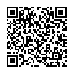 就算看到梓桐不毁变回本体肯定也没任何办法驱动二维码生成