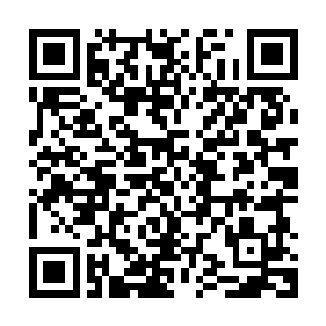 就算荣光当面挑衅……他们现在面对02落后的局面又能说什么呢二维码生成