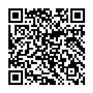 就算要行动也是快速而短暂的爬出一段后就寻找隐蔽二维码生成
