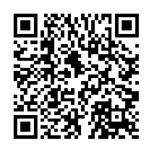 就算通过信仰点数变成负数一事知道九原也许出了变故二维码生成