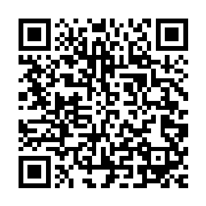 就算骨牌这样强大的宝物也有着意志不坚定就会被吞噬的危险二维码生成