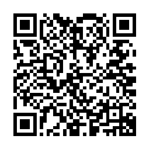 就自己分管的和工作和不分管的工作都应当提出属于自己的见解二维码生成