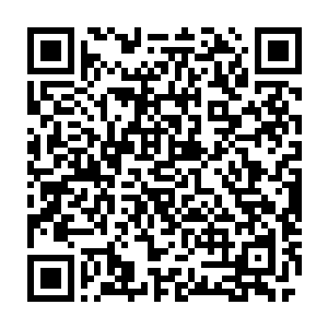 就至少有上百片细密的六边形的金属鳞片严丝合缝的咬合衔接在一起二维码生成