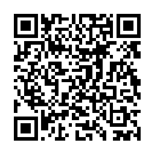 就获得了一份百万吨级的烛油生产基地的设计图纸二维码生成