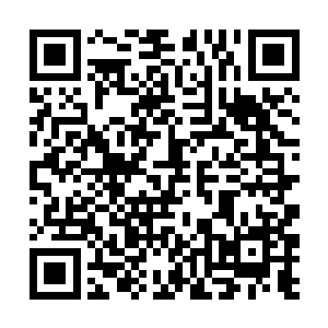 就被他误解成了急于提升自己实力而进行的冒险举动二维码生成