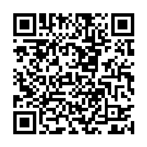 就要彻底结束在人族家园国土之中进行的这次圣战二维码生成