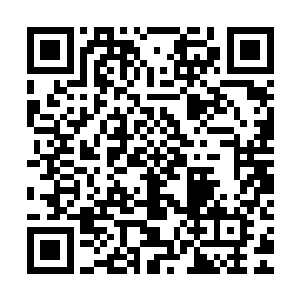 就见那头顶盘旋的血色漩涡哗的涌下无数血水冲刷在那方金印上二维码生成