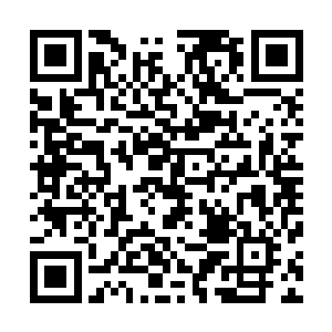 就觉得……君白芬芳和君木横两个之所以不再讨厌争对自己二维码生成