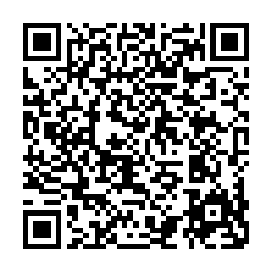 就说刚才如果没有许紫烟不知道于什么原因和眼前的这个巨藤拉上了关系二维码生成