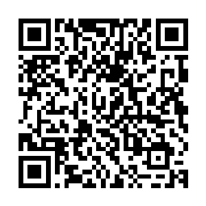就说太虚宗在两个月后将会在望仙城举行一场连续四天的拍卖会二维码生成