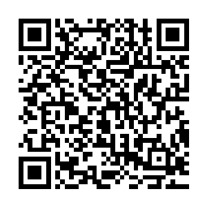 就这么短短的几天就全部都涨了好几十点――要是算上狗腿光环二维码生成