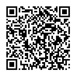 就这样他最后成了圣保罗的球员……结果他的出道战就是帮助圣保罗在主场2二维码生成