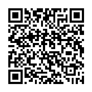 就这还是因为有一些修炼者实在是太偏僻了无法赶到二维码生成