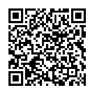 就连一向是老规矩的房租半年一付也变成了现在的一月一付了二维码生成