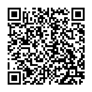 就连一直都在看上帝视角的解说和观众们都没有料到陈诚会在那个时候出现二维码生成