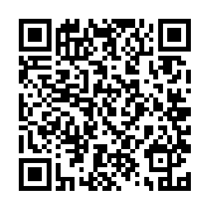 就连七十二万战斗力的林云也只不过是一星罪者罢了二维码生成