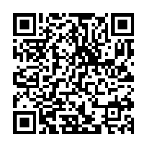 就连之前和韩风纠缠的两只万圣鬼爪也在同一时间停止了战斗二维码生成