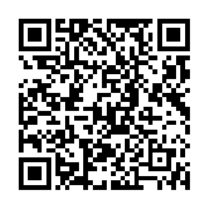 就连从未寻宝的云知秋也大概猜到了这句话指引的意思二维码生成