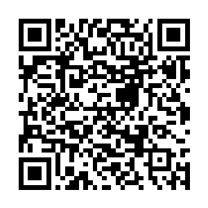 就连他们的母亲和妻女看他们的眼神都有些不对了二维码生成