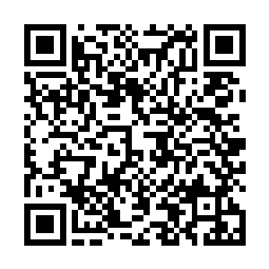就连你面前的张清九都要随着我们一起到妖兽森林里去二维码生成