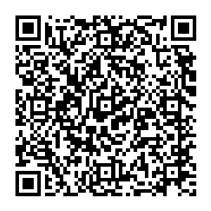 就连先前还有些拘谨的甄婕都从地方政府发展经济的角度来探讨了一番吸引外资的意义和国家层面需要考虑的弊端二维码生成