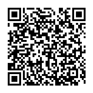 就连刚才恨不得一气乾坤阵被立即打破的云眸道尊和云真道尊在这一刻二维码生成