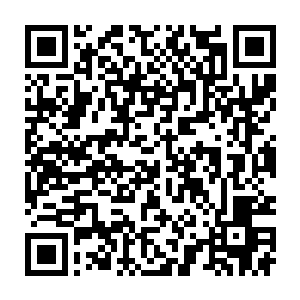 就连原本打算拍下来这条项链的秦方听到这个价格都是忍不住直摇头的二维码生成