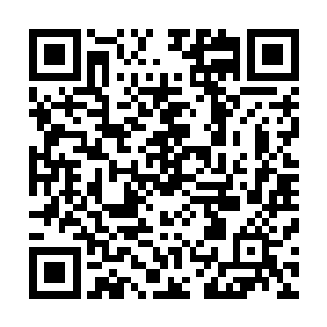 就连受伤颇重的五脏六腑也是以一种极快的速度恢复了起来二维码生成
