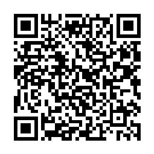 就连商队里面的其余何家人此时也是不待见他得很了二维码生成
