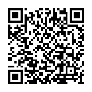 就连学校校长及一众老师对她的话及态度不质疑二维码生成