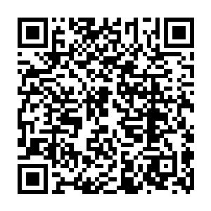 就连最厉害的族长非夜一石刀过去被闪开然后挨了一拳到现在都没有站起来二维码生成