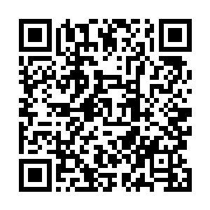 就连林诗音自己都不知道她当时为什么会做出这样的举动二维码生成