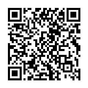 就连玄学会的林秋生会长这十年来也只进去过桃花源一次二维码生成