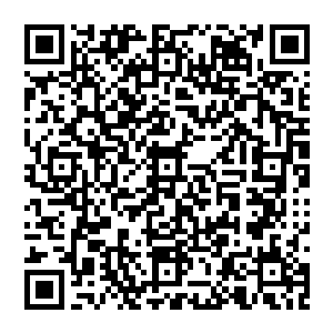 就连用力蹬踏重力运动器械的步伐都矫健了许多这些十三四岁的少男少女完全沉浸在自己的梦想中二维码生成