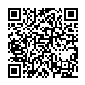 就连皮肤下的肌肉纤维也如同被某种可怕力量撕扯过一般二维码生成