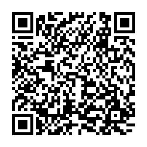 就连红墙内的那位长也不只一次主动和我提起过她――还说要我代他向温柔问好二维码生成