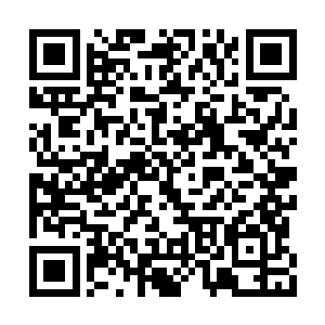 就连远在炼丹楼内炼制神丹的一众丹气仙宗弟子二维码生成