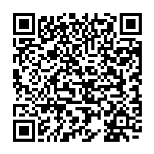 就连那两只拿着话筒和台本的麒麟臂都仿似抽筋了一样正在上下打着摆子二维码生成