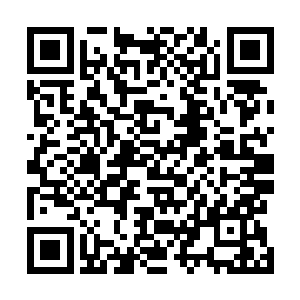 就连那张苍白消瘦的容颜似乎也在一瞬间平添了几分光彩二维码生成