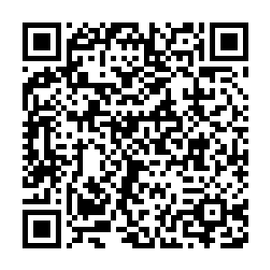 就连那缓缓落下的阴阳金刚轮瞬间也仿若已经被一只无形的大手给抓住二维码生成