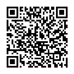 就连龙噬灵和魔龙啸这样的招数都在一开始用了出来二维码生成