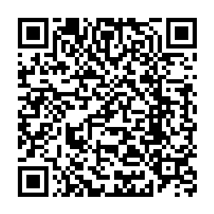 就重点关注叶青身上假格天仙力量虚实……之前零号舰一下冲破星巢二维码生成