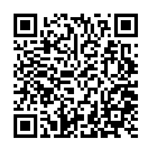 就随手往湖里一丢……我也不确定荷包里装的是不是布防图二维码生成