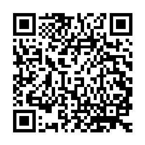 尸骨以及各种污秽的尸血和脏器液就好像十级台风中的暴雨一般二维码生成