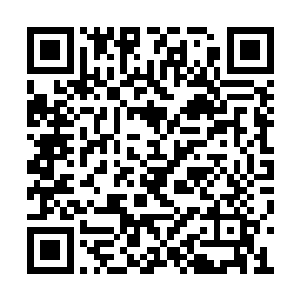 尹南歌作为某连锁酒业的代表对区病患进行捐款二维码生成