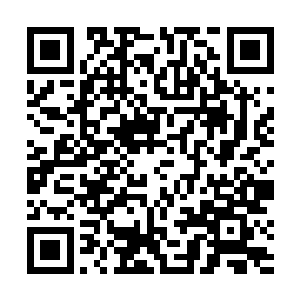 尼古拉斯一麦克伦原本是守在伯班克的迪士尼公司外面二维码生成