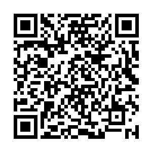 尼曼匹克病的重大突破我们还会等上很长的一段时间二维码生成