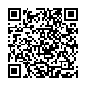 尽管从那时开始一直到现在它在苍穹宝塔中都过得很充实二维码生成