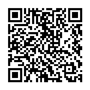 尽管他们当中的一些人还不是很清楚巨象仙宗这四个字的含义二维码生成